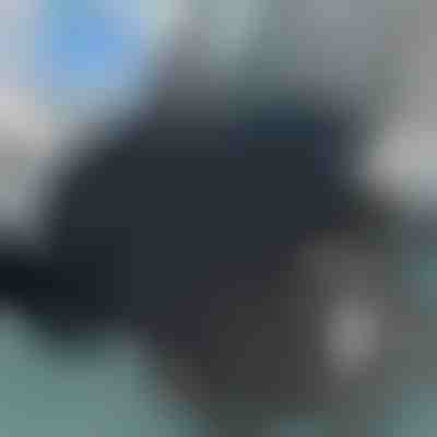 Περιστρεφόμενο μαξιλάρι καθίσματος | SPINPAD