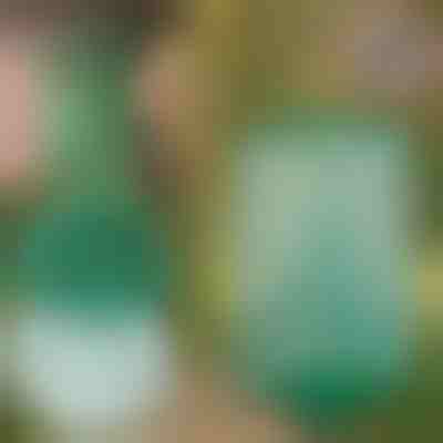 Επαναχρησιμοποιήσιμη κρεμαστή παγίδα μυγών & εντόμων | INSECTA