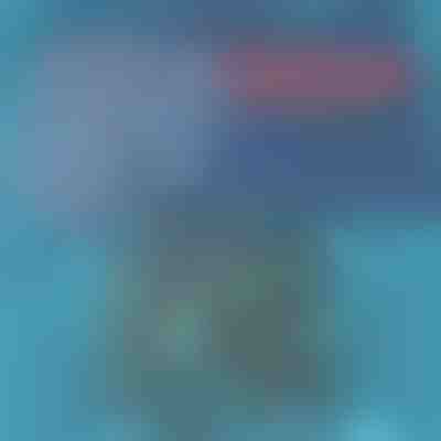 Μαγιό που στεγνώνει γρήγορα | TOGGIES