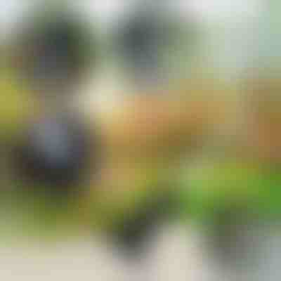 Εργαλείο κήπου 4 σε 1 | VERSAX