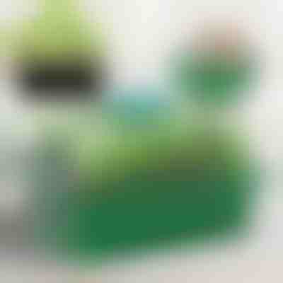 Δίσκος για καλλιέργεια φυταρίων με διαμερίσματα | PLANTURKA