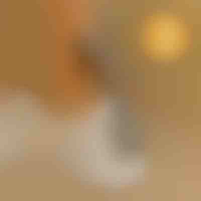 Βοηθός παπουτσιών χωρίς κάμψη | SHOEVA